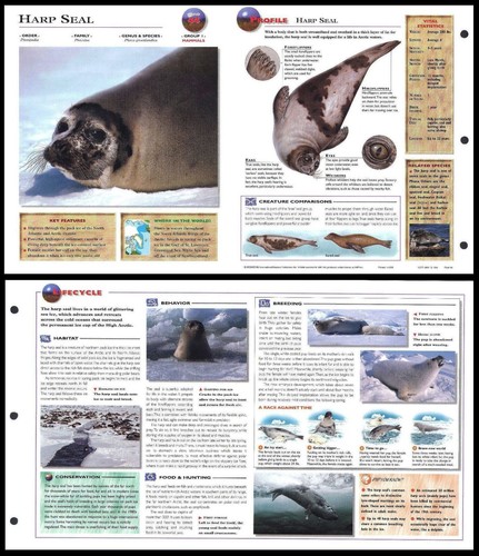Fold out sheet harp seal - -,